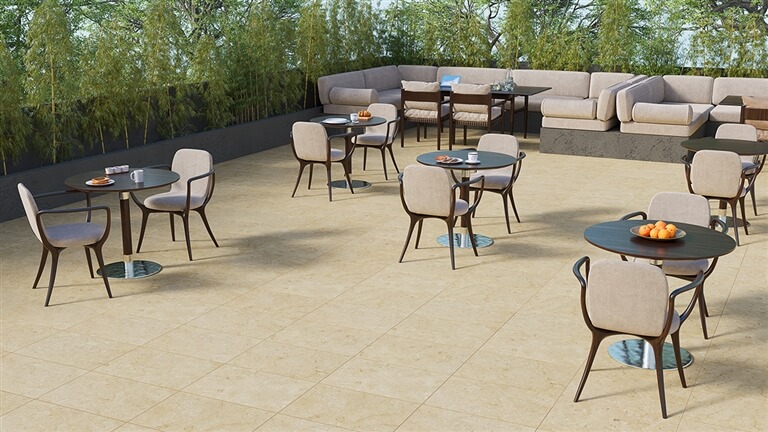 Piatra Naturala FOSSIL STONE